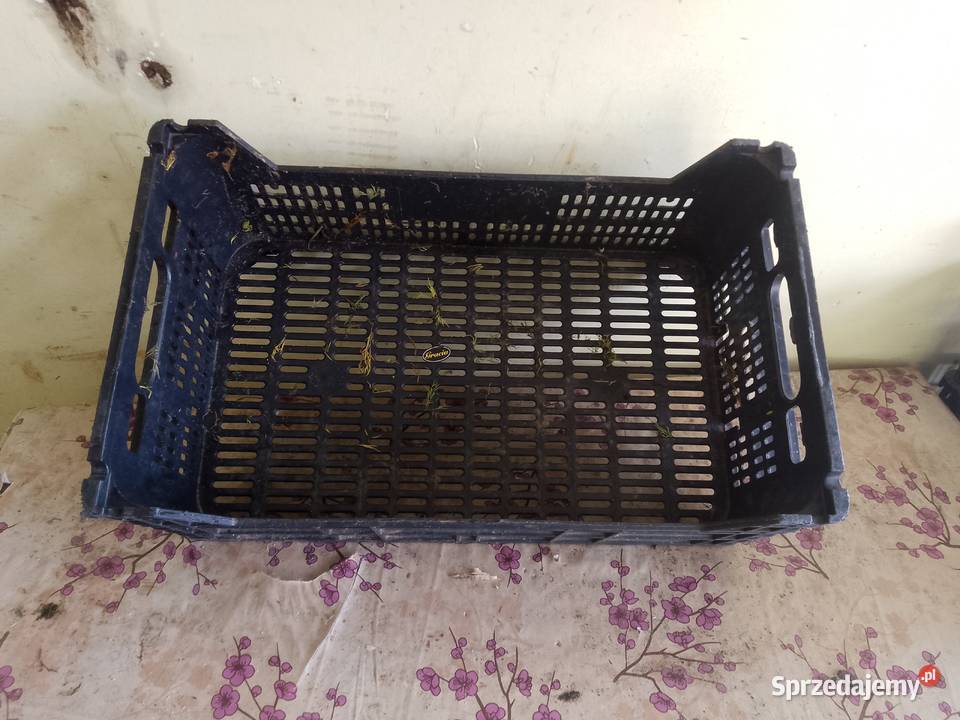 Skrzynki plastikowe pomorskie