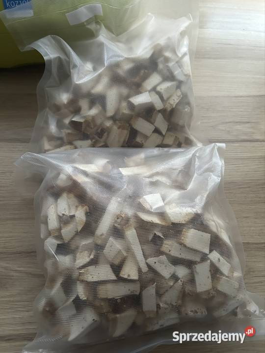 Białoporek brzozowy suszony 600g Gliwice