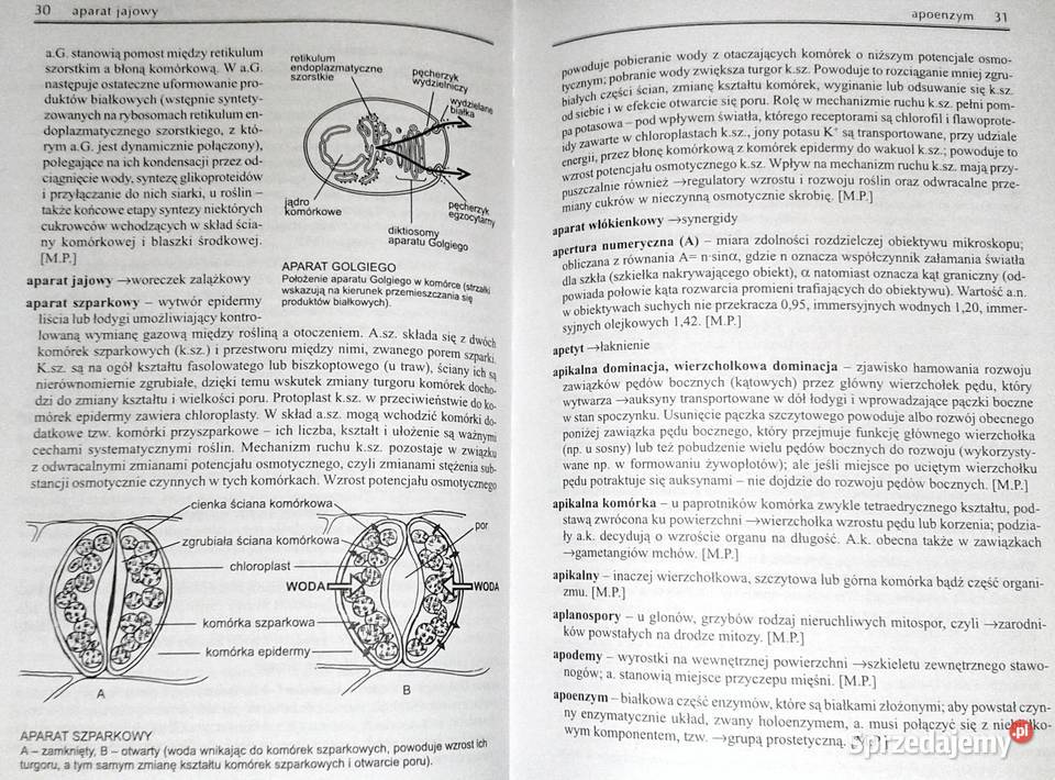Słownik szkolny Biologia M Popielarska R twarda Chełm