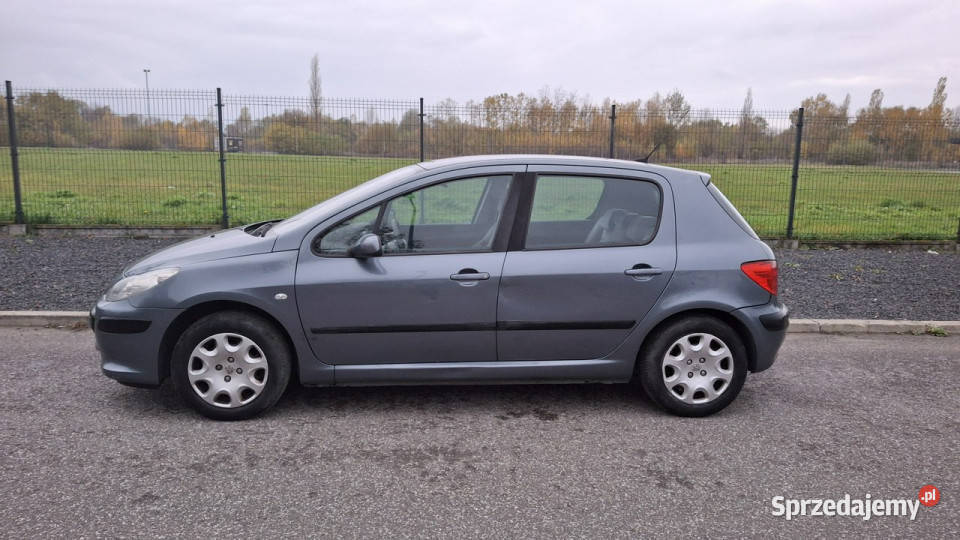 Peugeot 307 Peugeot 307 14 LPG GAZ Klima łódzkie Pabianice sprzedam