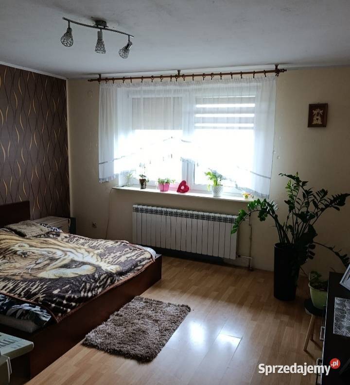 Dom na sprzedaż Sprzedaż Sprzedaż Kowale Pańskie-Kolonia