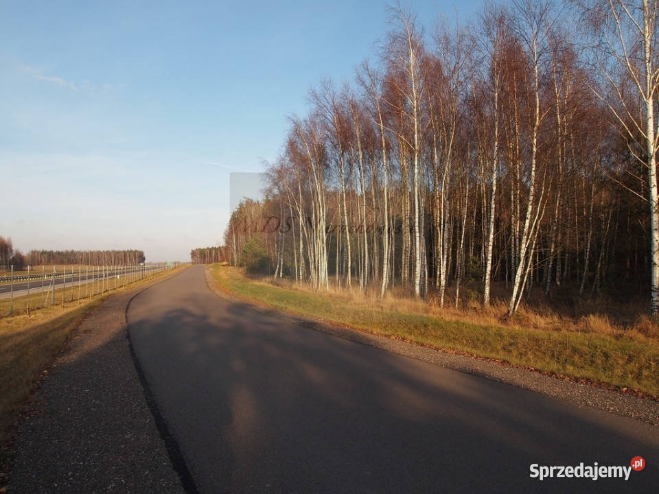 działka produkcja magazyny S 7 węzeł Powierż Górowo