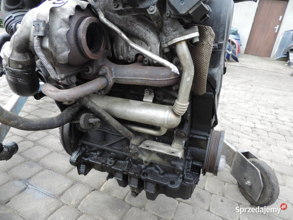 VW PASSAT B6 19 TDI 77KW 105 SILNIK BLS osobowe