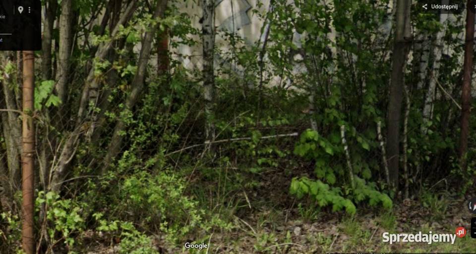 Drewno opałowe liściaste Żarów sprzedam