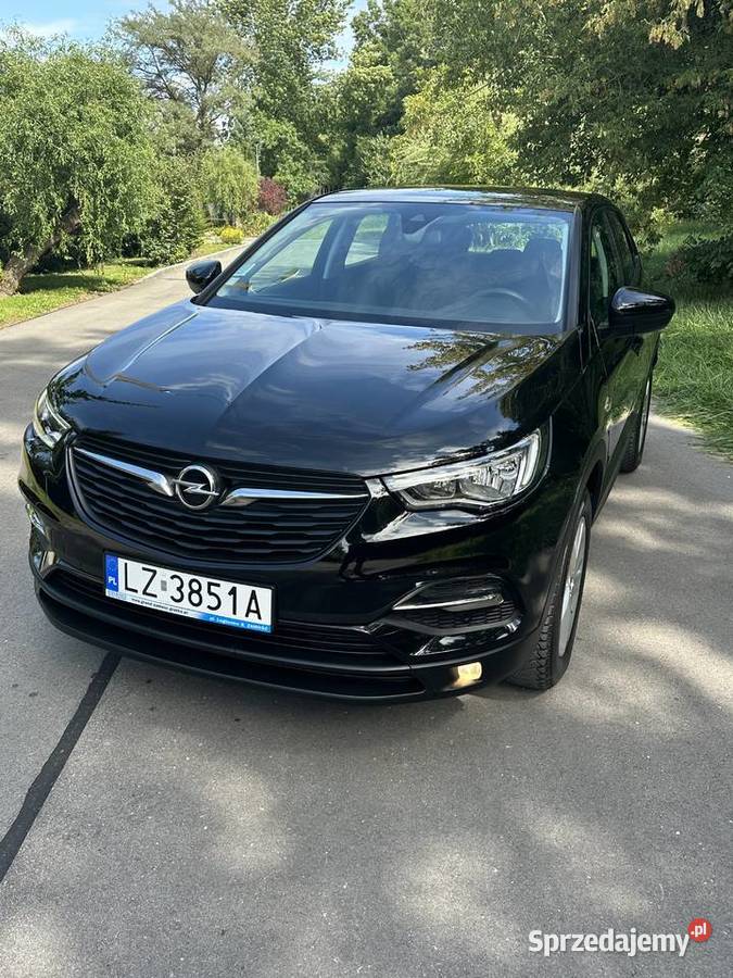 Opel Grandland X 16 120 Navi Ledy Zamość