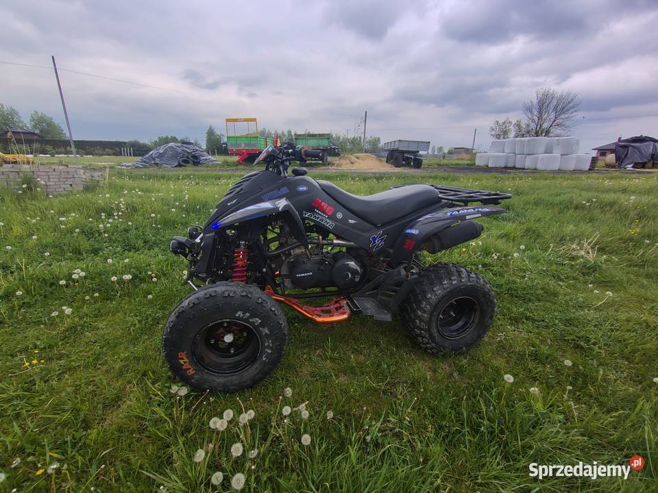 Quuad Dinli Lacki Star 300 Motoryzacja Medynia Głogowska