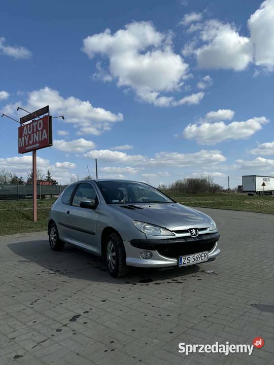 Peugeot 206 20 hdi 90 Brodnica