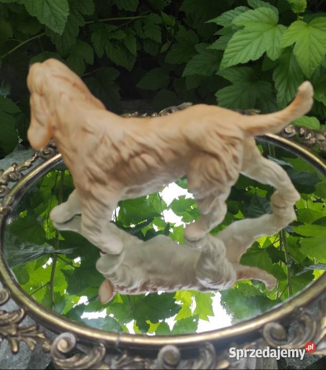 ROYAL DOULTON CHART AFGAŃSKI figurka łódzkie sprzedam