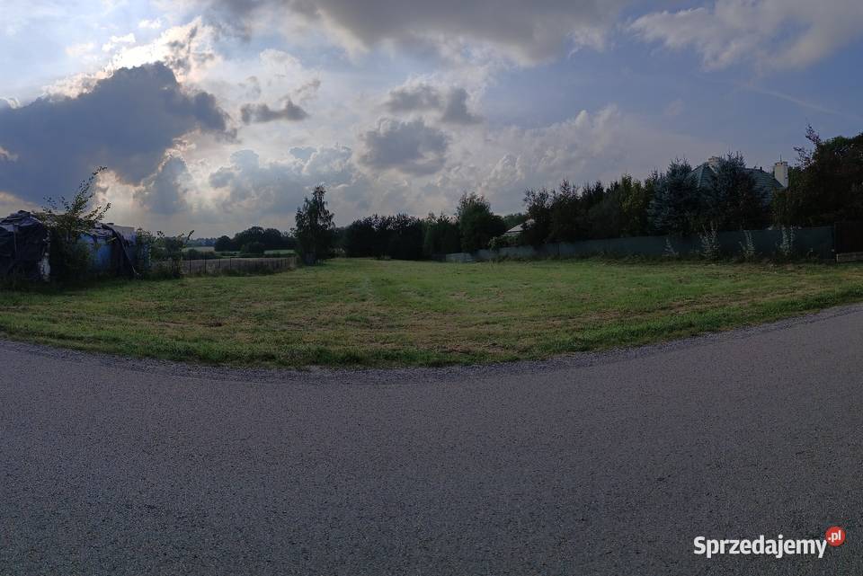 Pałecznica Kolonia lubelskie Pałecznica-Kolonia