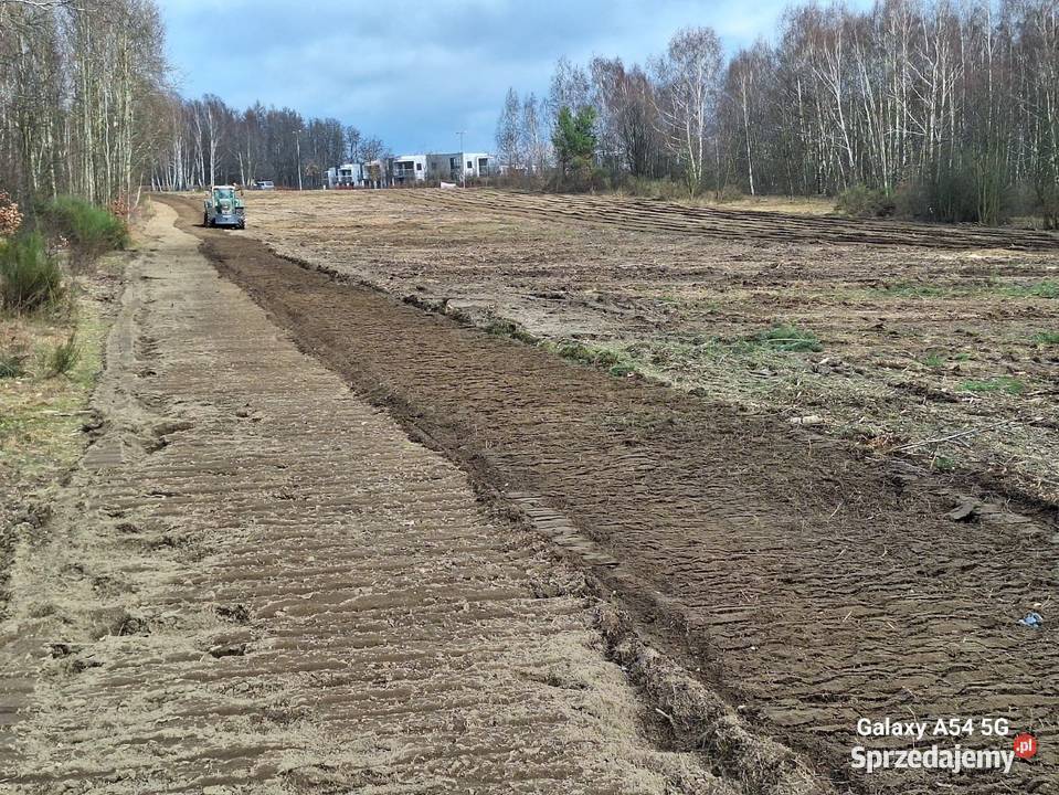 Wycinka drzew Czyszczenie działek Mulczowanie Łowicz