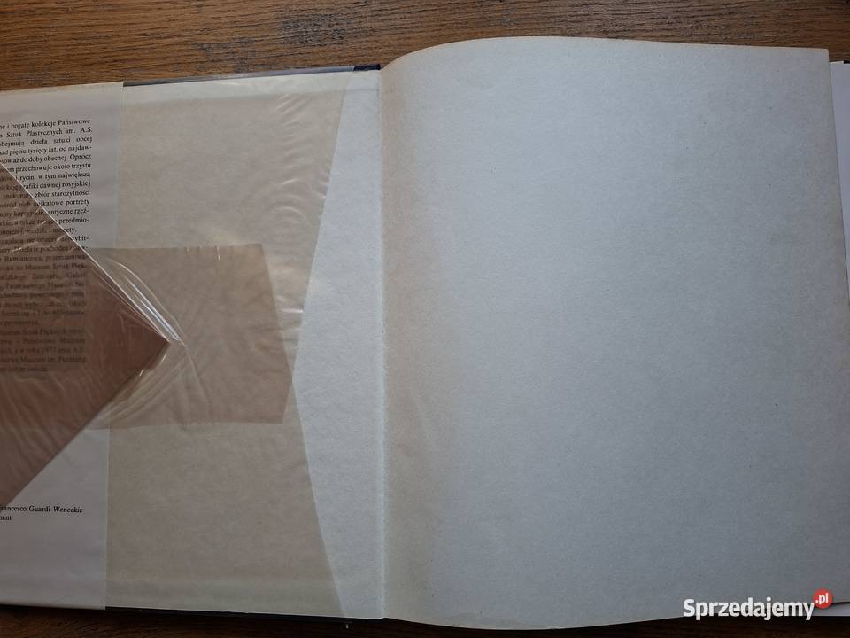 Państwowe Muzeum im AS Puszkina Arkady Kraków