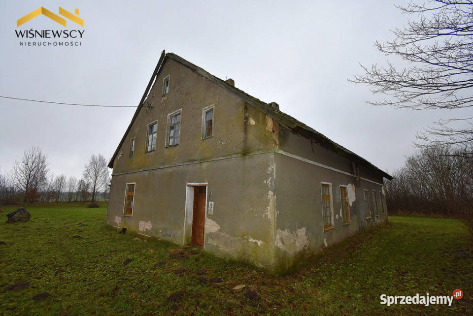 Siedlisko 9400m2 dom dwa budynki gospodarcze Głotowo