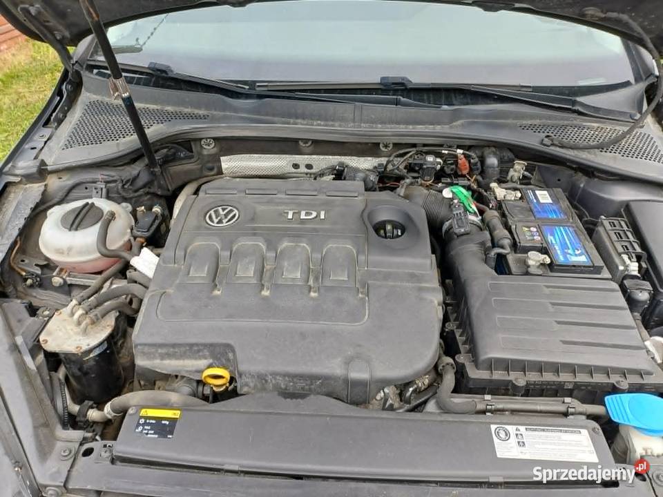 Volkswagen Golf 16 TDI 110 Pacyna