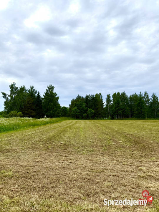 sprzedaży gruntu 3128m2 Błaskowizna