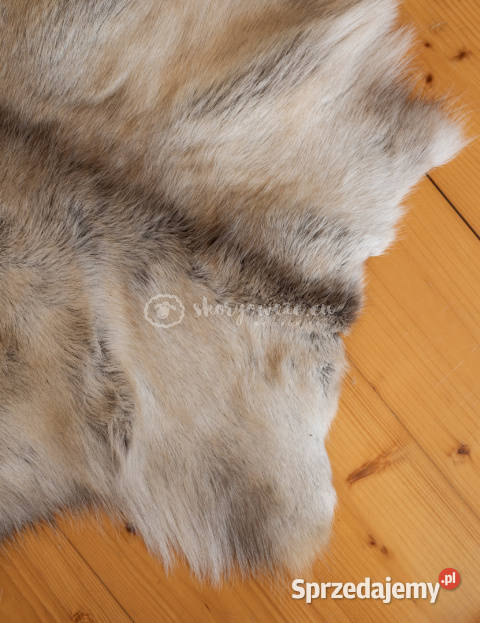 Dekoracyjna skóra z renifera renifer małopolskie Szaflary