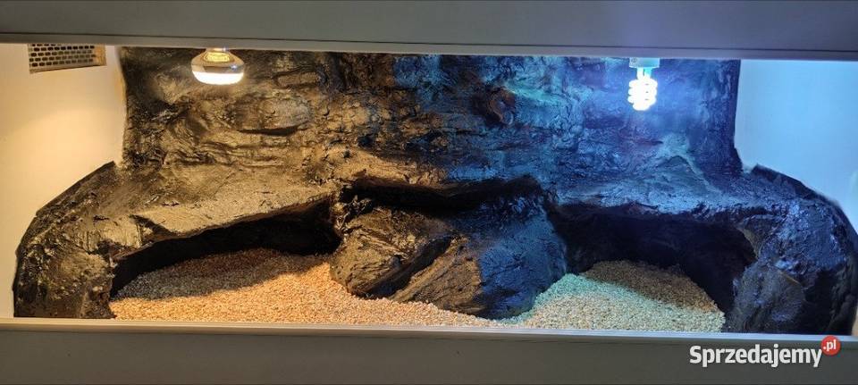 Okazja terrarium żółwia greckiego gekona sprzedam