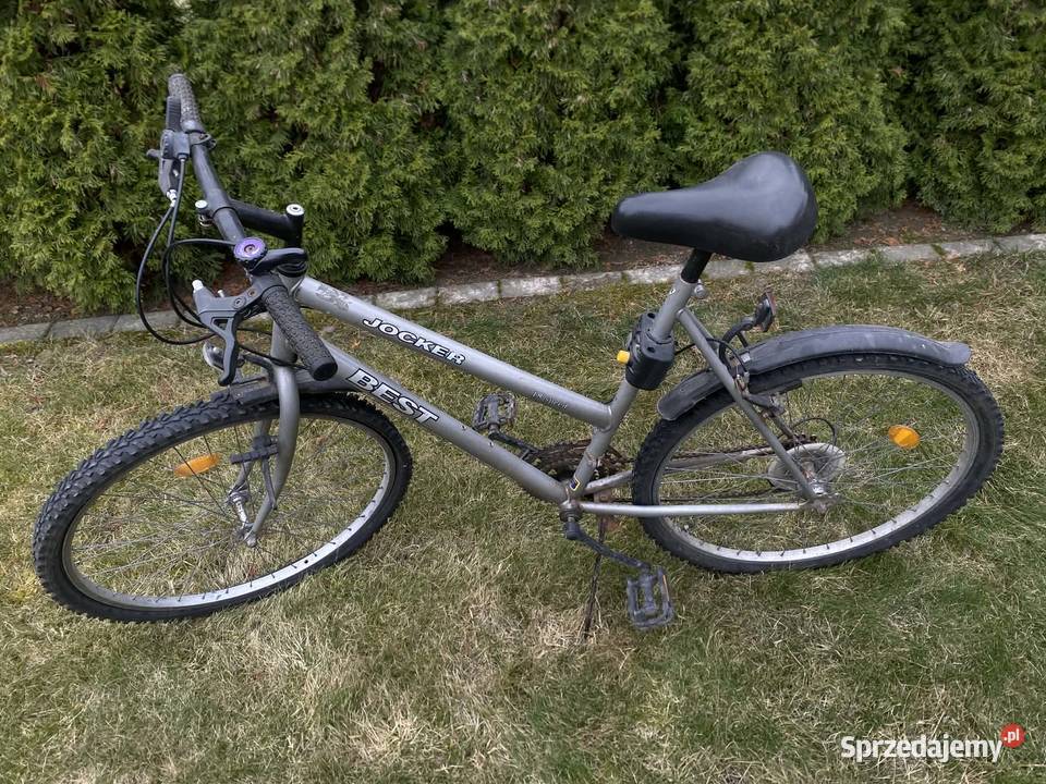 Rower damka Parczew