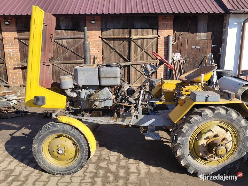 Es esiok papaj Pozostałe