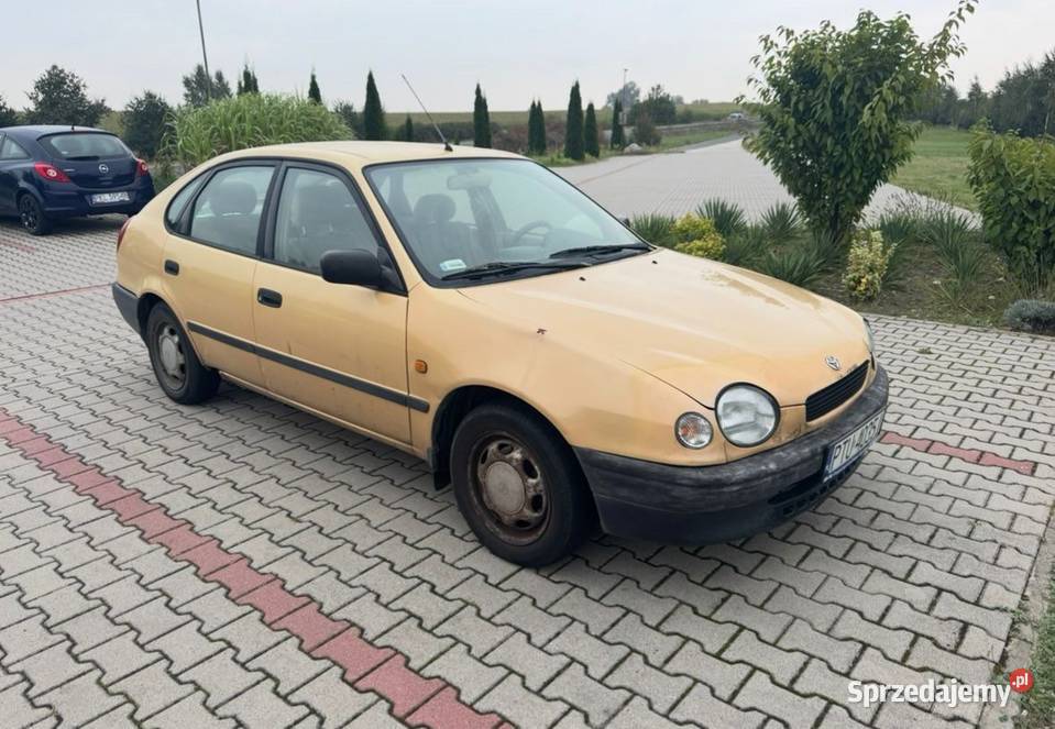 SKUP STARYCH TOYOT