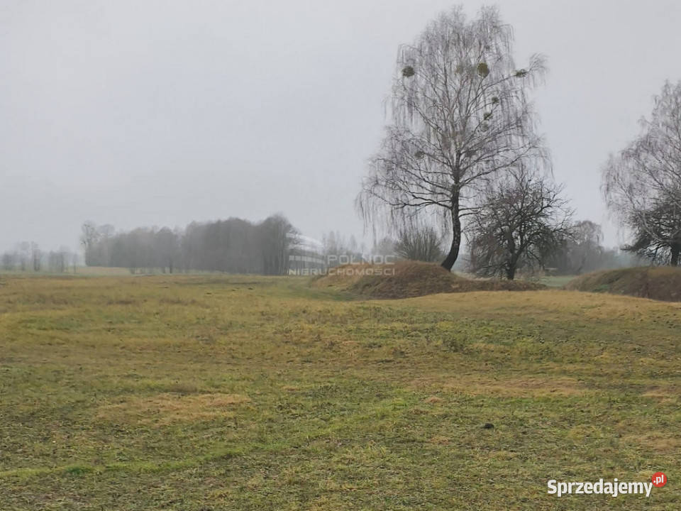 Ziemia rolna o pow 39 Ha w gminie Terespol rolna Murawiec sprzedam