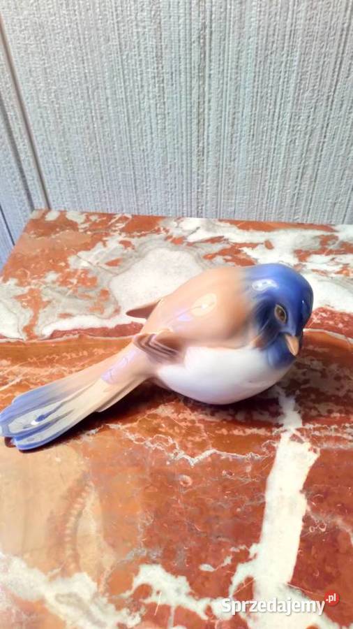 Ptaszki porcelanowe BG Olsztyn