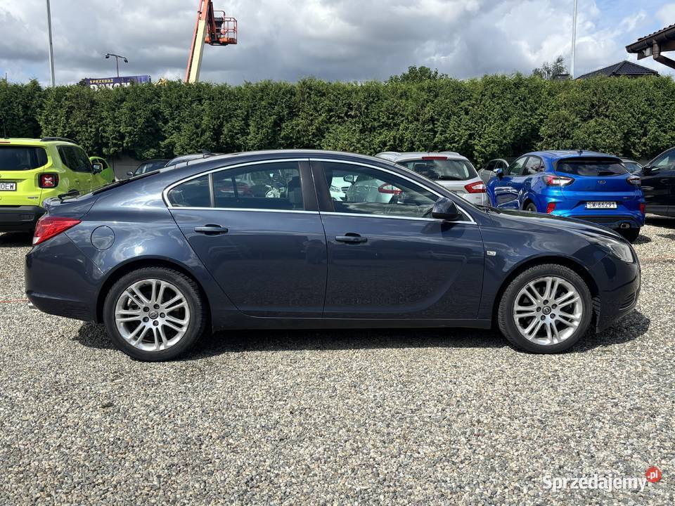 Opel Insignia Paniówki
