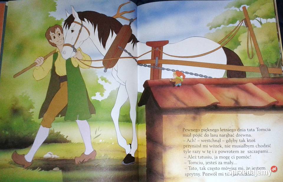 Tomcio Paluch Van Gool Chełm