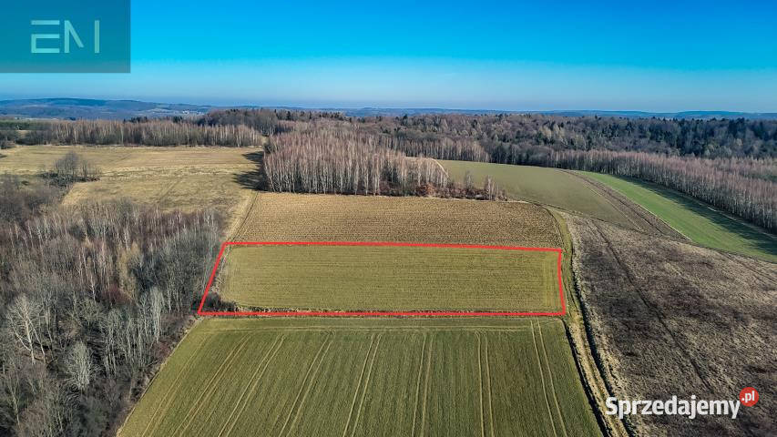 Działka Niewodna 5600m2 sprzedam