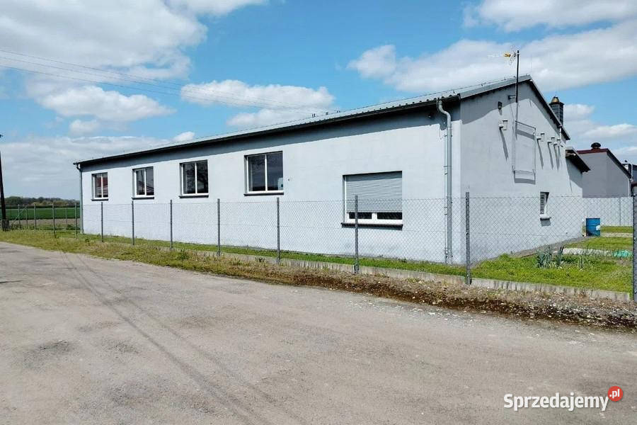 Hala z przeznaczeniem na dowolną działalność 200m2 Lokale użytkowe Wilków sprzedam