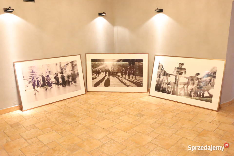Komplet pięknych fotografii w metalowych ramach Pszczyna