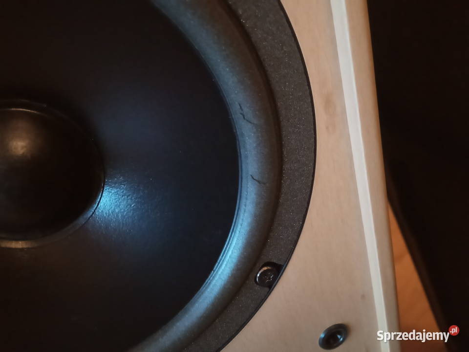 JBL ATX 40 drobne pęknięcia Poznań