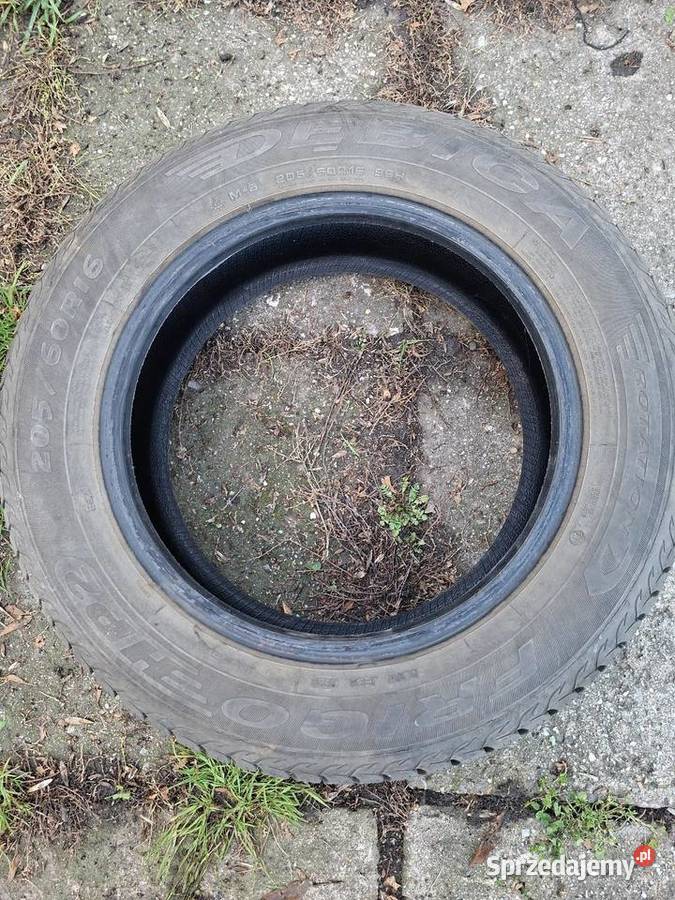 Opony zimowe 20560 R16 Dębica Frigo Strzelin