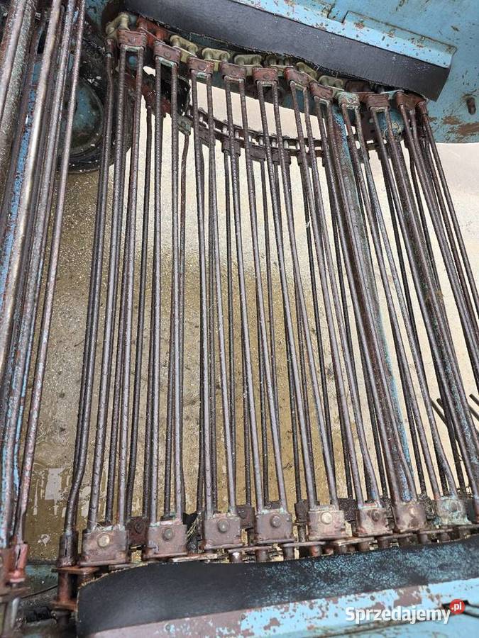 Kopaczka elewatorowa dwurzedowa do ziemniakow nieuszkodzony Samborzec