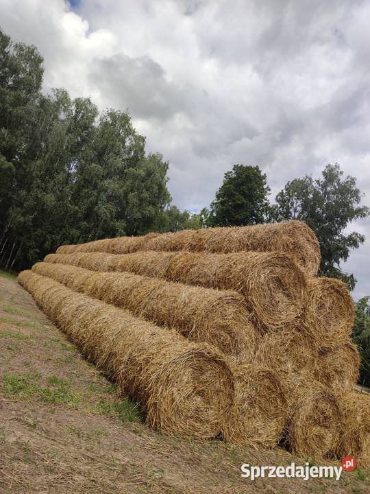 Słoma 2023 Przegaliny Duże