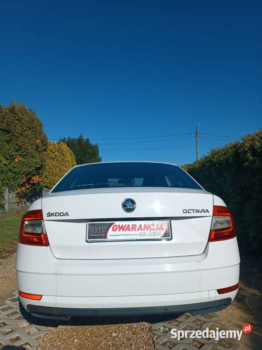 koda Octavia krajowa III 2013 4/5 Chełm Śląski