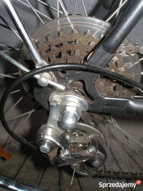 OKAZJA ROWER PEGASUS SPORTING męskikoła Włocławek