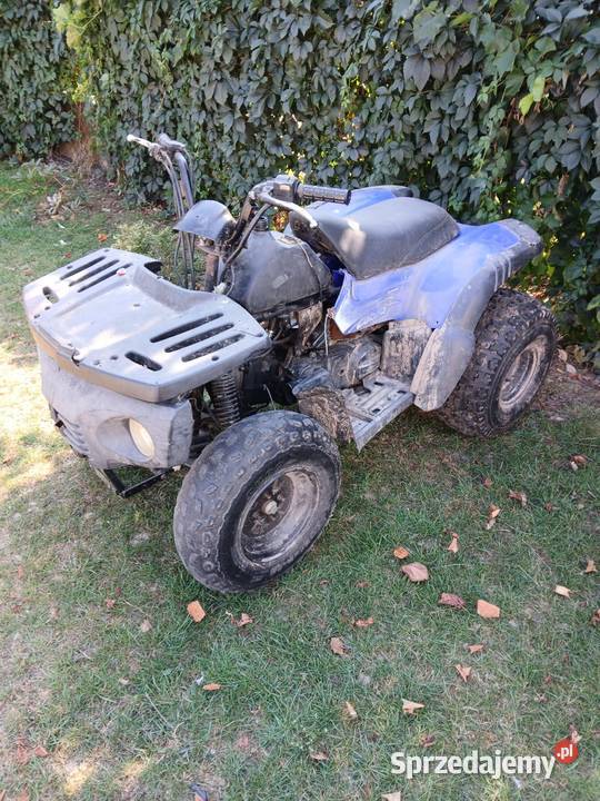 Pasek Napędowy Klinowy Aeon Cobra Overland HONDA Sandomierz sprzedam