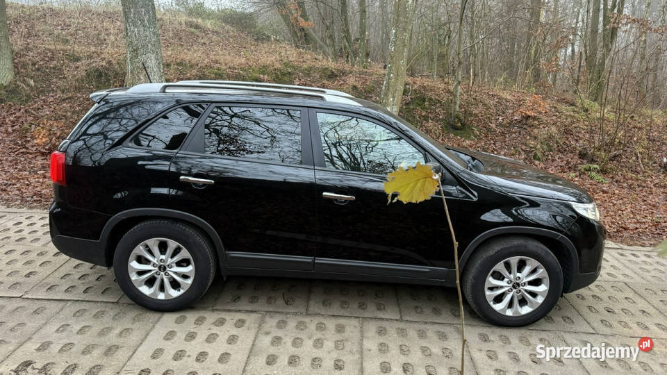 Kia Sorento 20crdi 185 ledy bi xenon skóry wielofunkcyjna kierownica Gdańsk