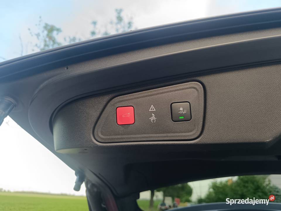 Peugeot 3008 15 HDI 2020 Buk