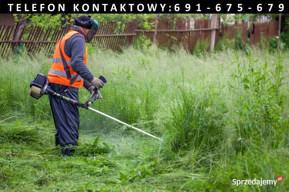 Usługi ogrodnicze zakładanie ogrodów czyszczenie Pielęgnacja ogrodów i trawników kujawsko-pomorskie Dobrzyń nad Wisłą