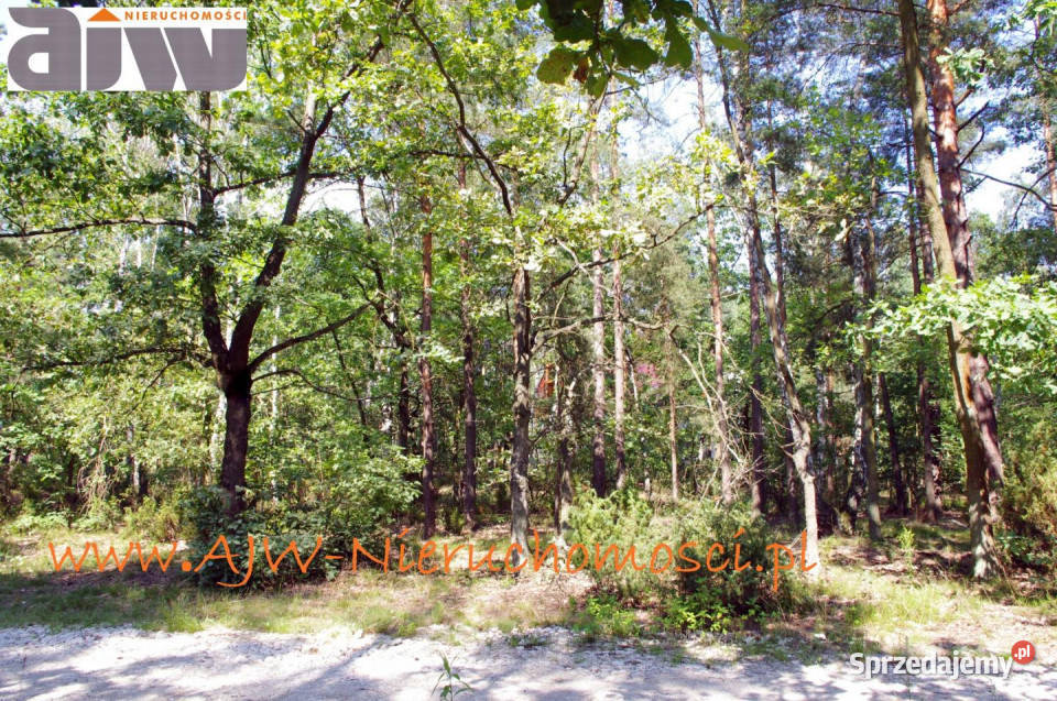 Działka 2210m2 Izabelin B gm Izabelin mazowieckie sprzedam