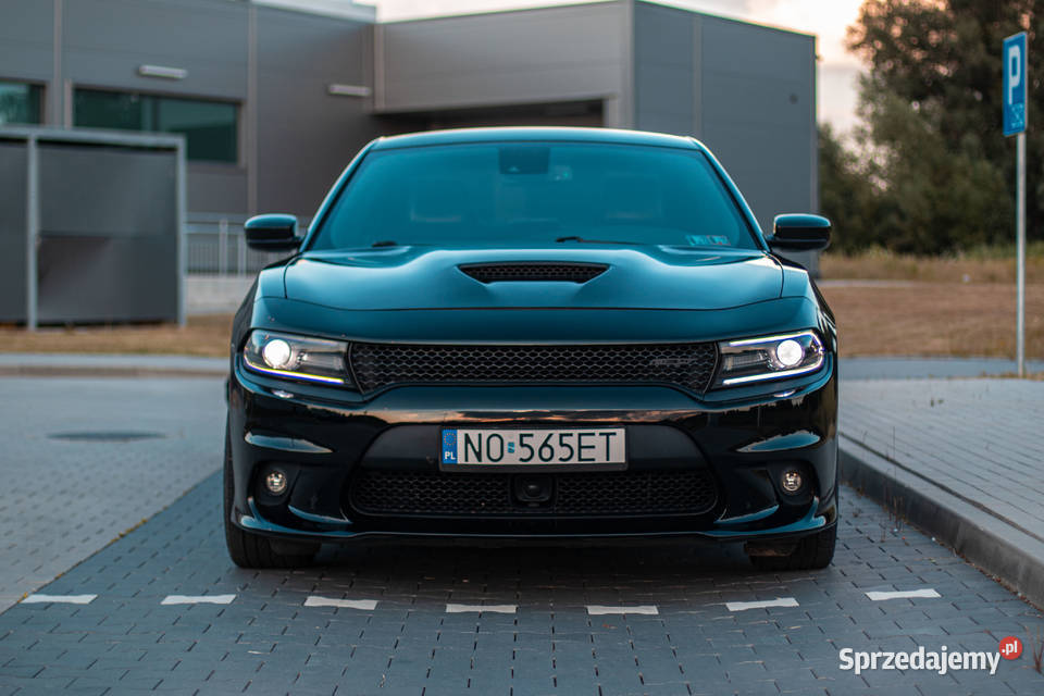 Dodge Charger Rok produkcji 2017 Olsztyn