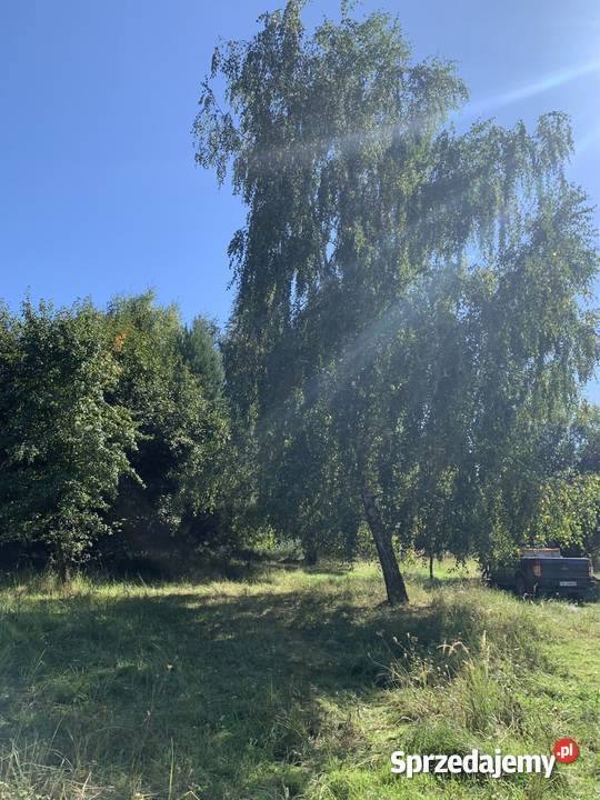 Działka ok 1 ha Michałów Rudnicki na działalność śląskie Częstochowa sprzedam