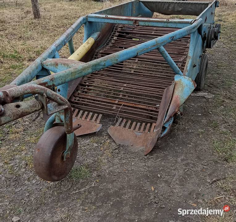 Kopaczka nieuszkodzony podlaskie Augustów