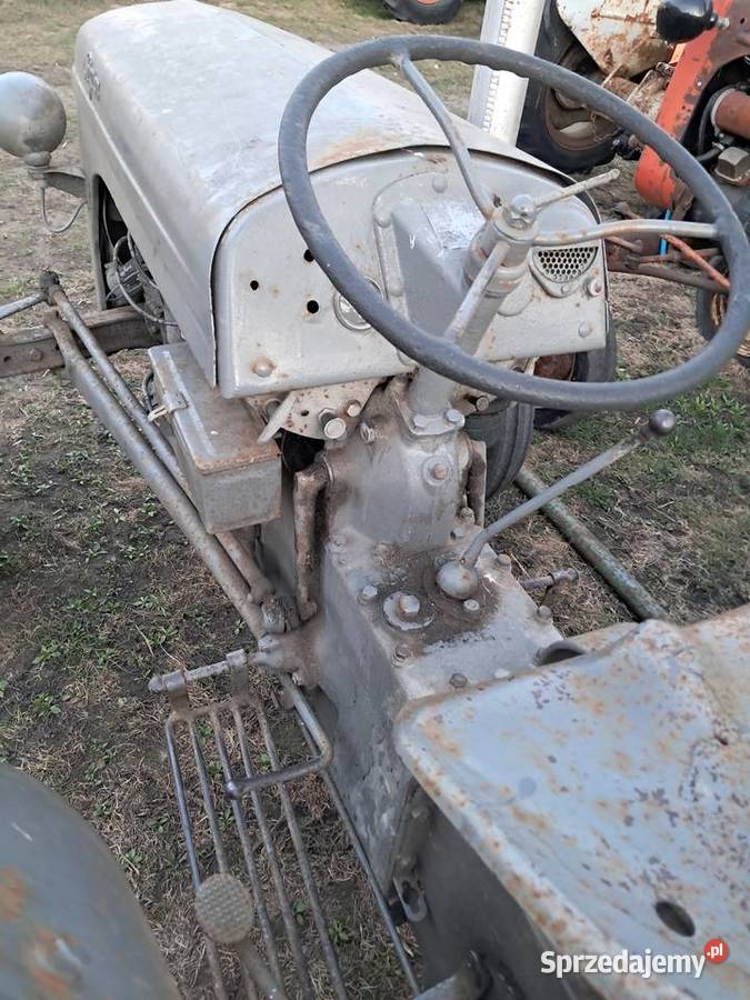 Ferguson TEA Gniewkowo