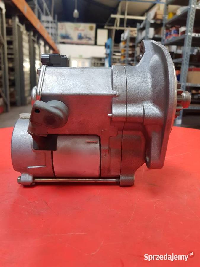 9975705 Rozrusznik lubuskie Sulechów