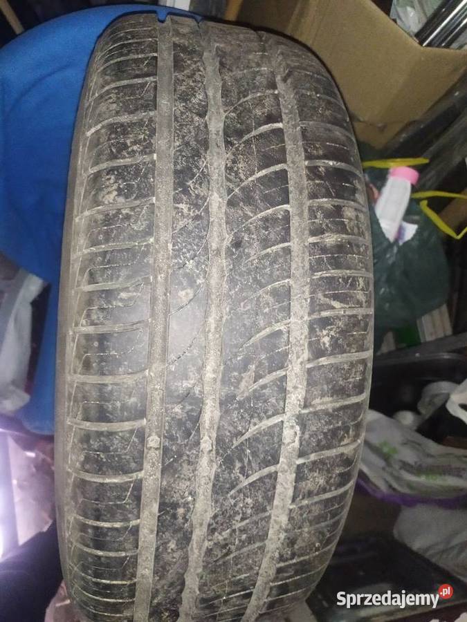 Opony letnie Pirelli 2055516 4 sztuki Wejherowo