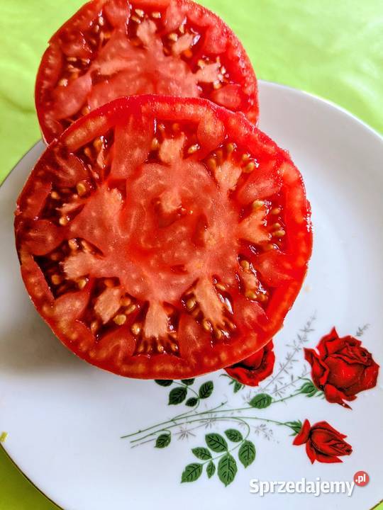 Stara Malinówka SS pomidor nasiona Nasiona