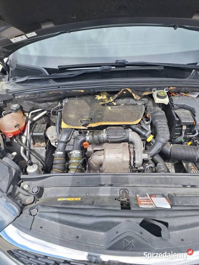 ŁADNY DS4 16 BLUEHDI DS4 Paczków