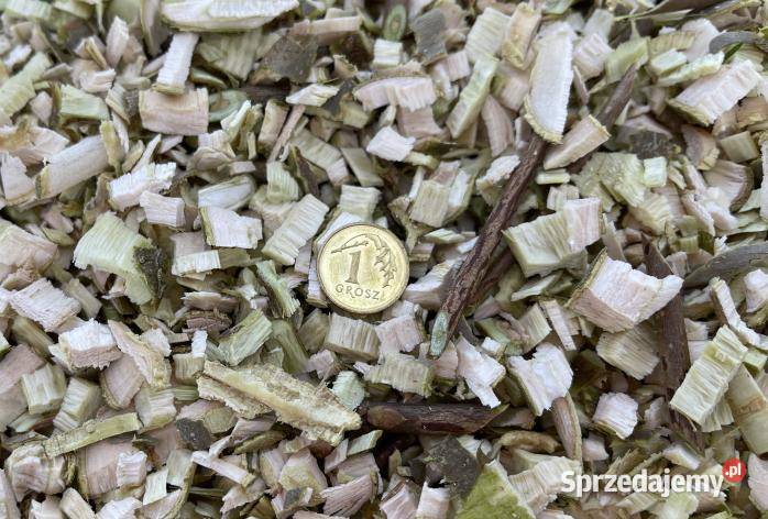 MASTERCUT GBK70 ROZDRABNIACZ SPALINOWY REBAK DO Opalenica